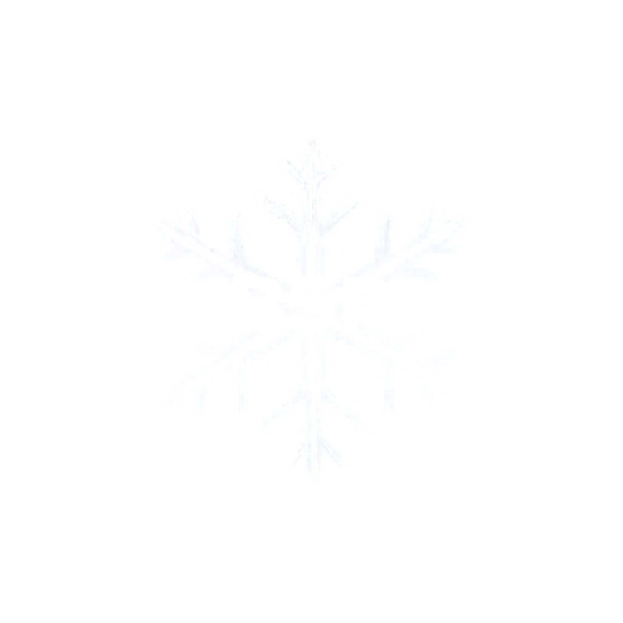 BSR Snow Lab logo